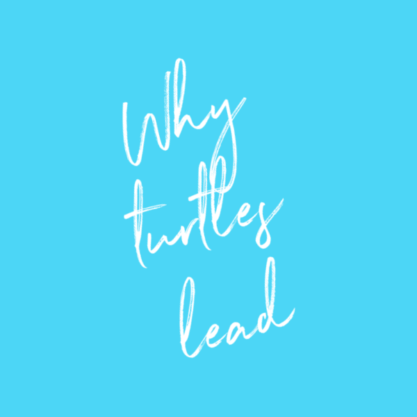 Why turtles lead 